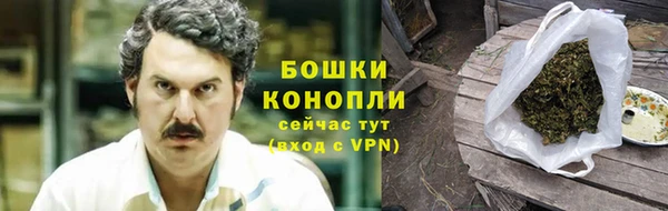 трава Арсеньев