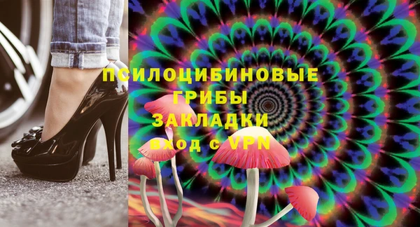 трава Арсеньев