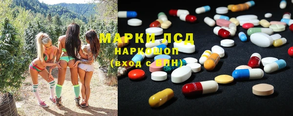 трава Арсеньев