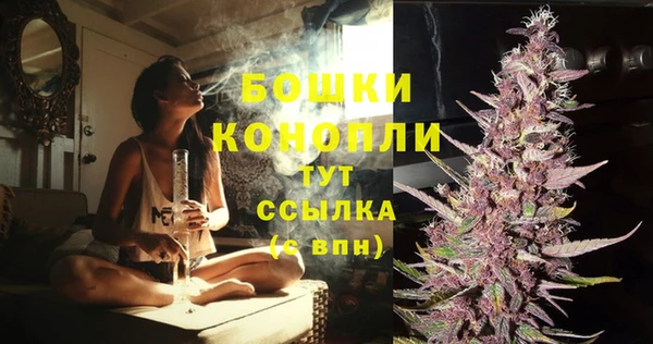 трава Арсеньев