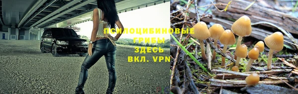 трава Арсеньев