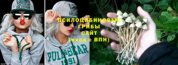 трава Арсеньев