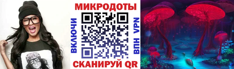 Галлюциногенные грибы Psilocybine cubensis  цены   Верхняя Салда 